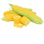 JAGUNGBAKAR