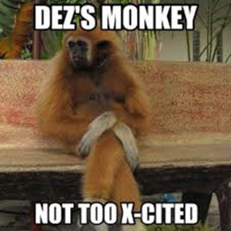 MONKEE