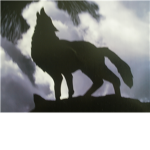 Deep Shadows Warriors Of The Night