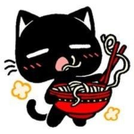 catkittycatcatkittycatcat