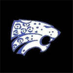 Stephenson Jaguars