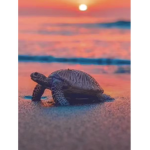 Turtles are de best