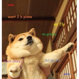 THE ELITE DOGE'S' Interview Center