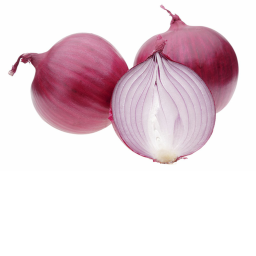 Sword Fight In a red onion garden