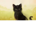 Wild love for CATS