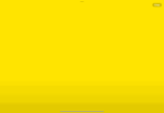 TRUE YELLOW TEAM