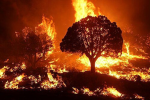fire assets