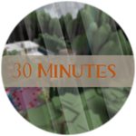 Play For 30 Minutes!