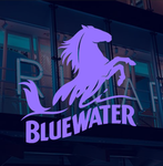 Bluewater Shopping