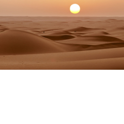 Stranded in the Desert in a Coffee Shop