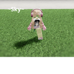 Sky_playz group