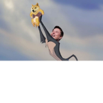 DOGE İs King