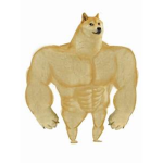 dogeer men