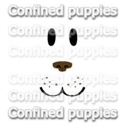 confined puppies [ HATS  ]