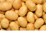 *the potato squad*