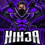Les Français Ninja