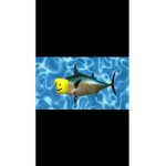 Le oofs