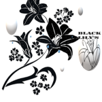 Black Lilly's