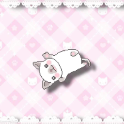 (ฅ'ω'ฅ)