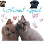 ~Animal Support~