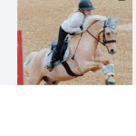 The horse rides