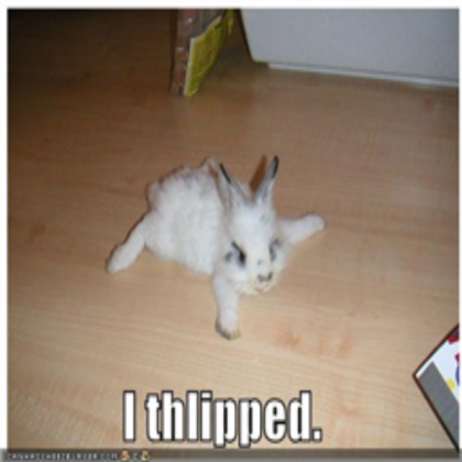 Funny bunny Roblox decal
