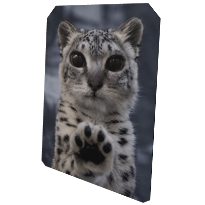 Cute Snow Leopard Cat Cape
