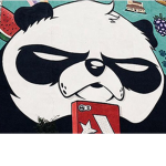Lemur ailesi
