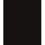 V.R Organization