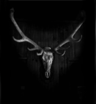 ~ Deer ~