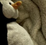 waddling penguins (8)