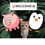 pig and penguin