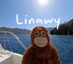 Linawy group