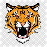 sneaky tigers
