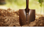 I came here to dig, dig, dig, dig, dig