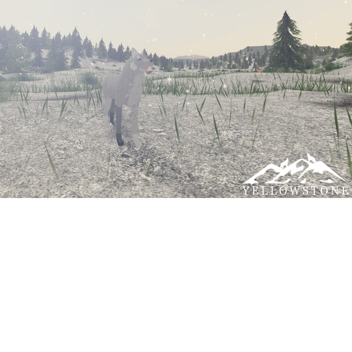 Yellowstone