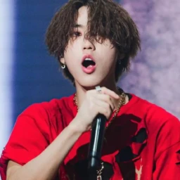 * ˚ ✦ icon