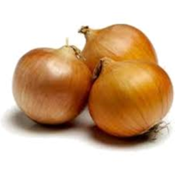 Studster hate game (onion)