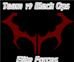 Team 19 Black Elite Ops