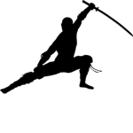 The Ninja Slicers!