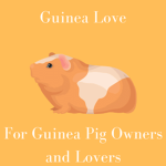 Guinea Love