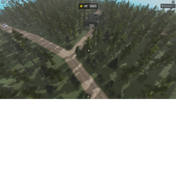 forest hangout