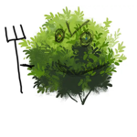 Bush’