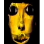 Aesthetic Ratzz