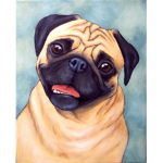 -PUG LIFE-