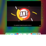 Antster