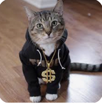 lincoIn_clothing group