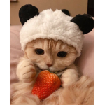 さやか