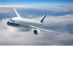 the planes
