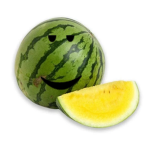 Chesmelon army